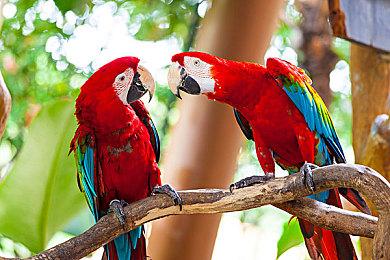 《VALORANT》第三幕第三章预告 新特工11月16日上线